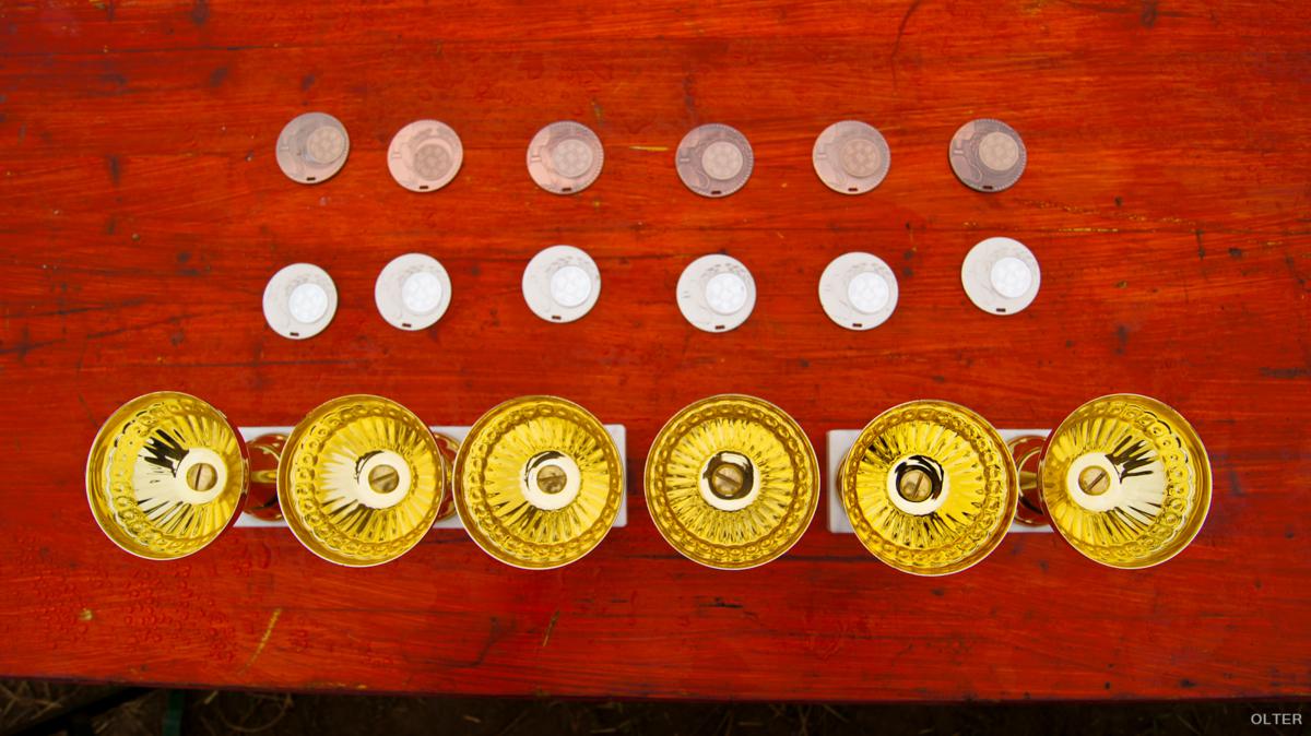 dsc07663_1200x674.jpg