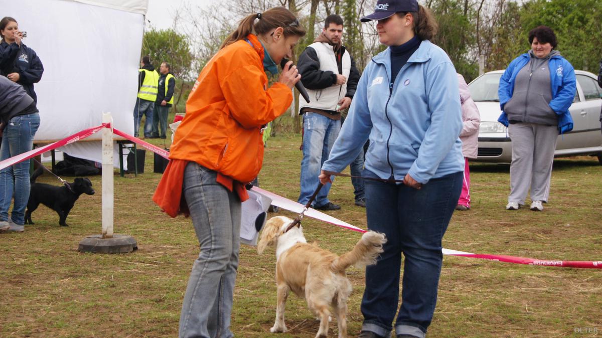 dsc07685_1200x674.jpg
