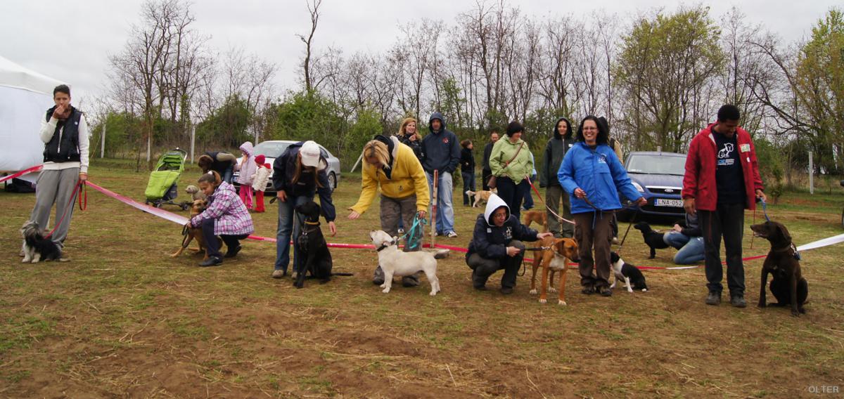 dsc07710_1200x568.jpg