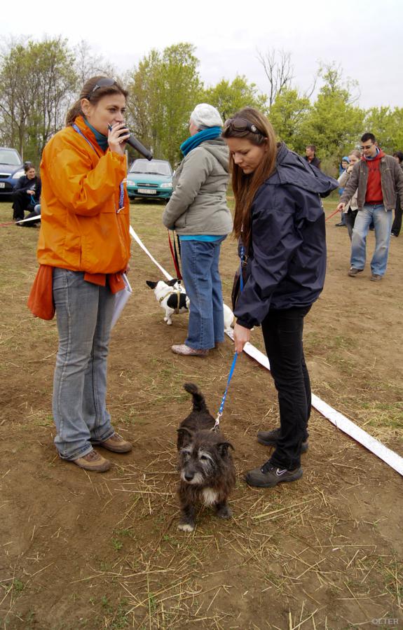 dsc07725_575x900.jpg