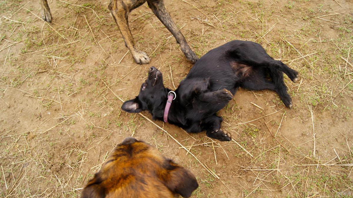 dsc07757_1200x674.jpg