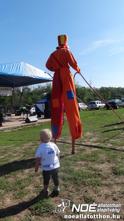 dsc07777_3.jpg