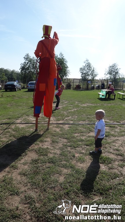 dsc07778_2.jpg