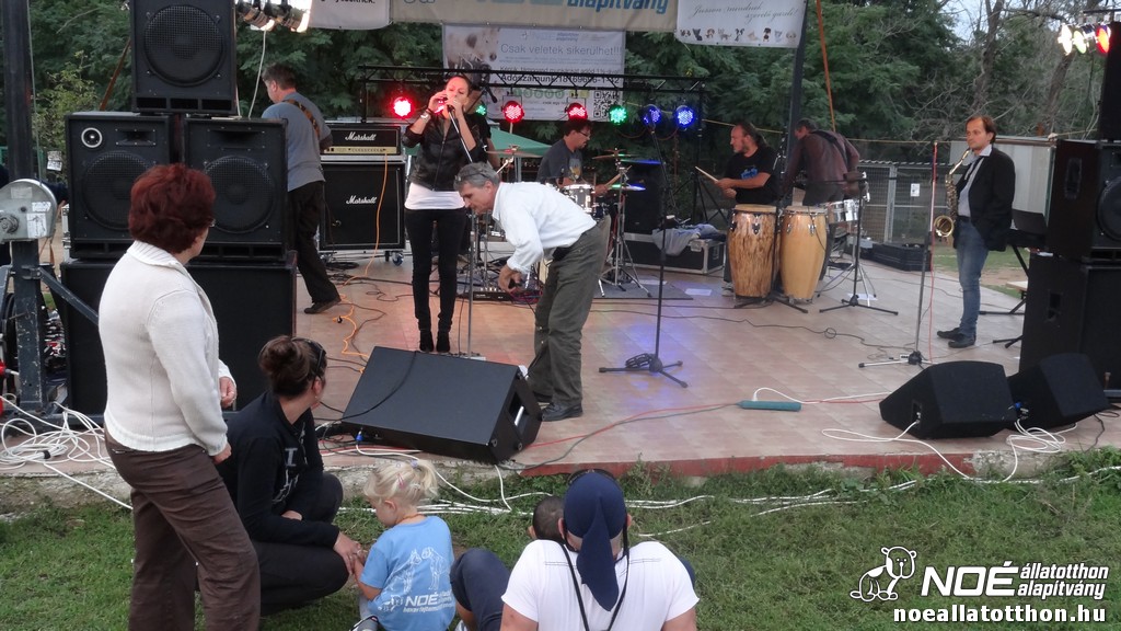 dsc07799_3.jpg