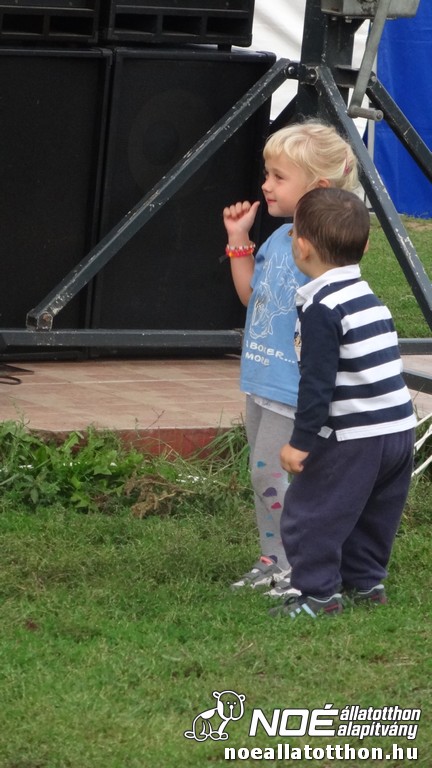 dsc07800_3.jpg