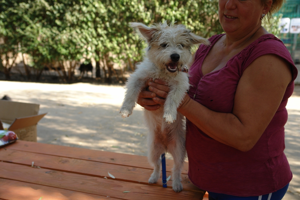 dsc07846.jpg