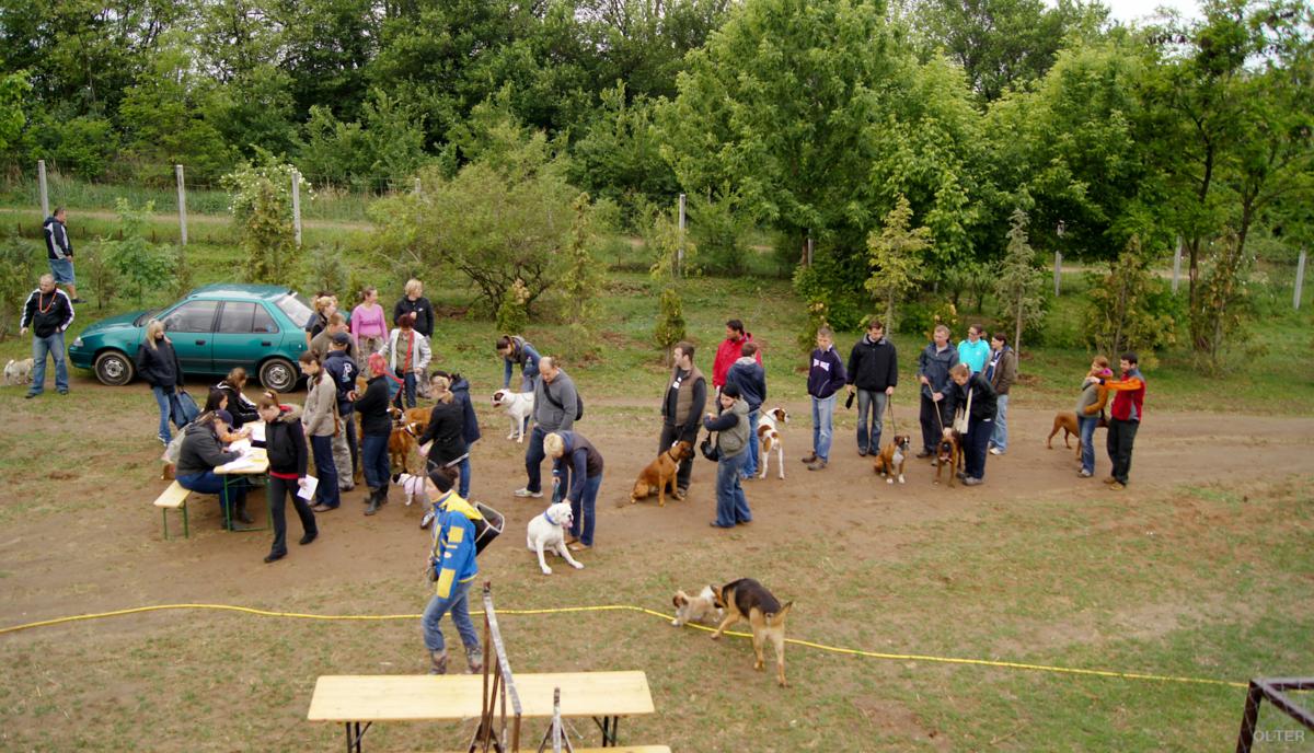 dsc08116_1200x688.jpg