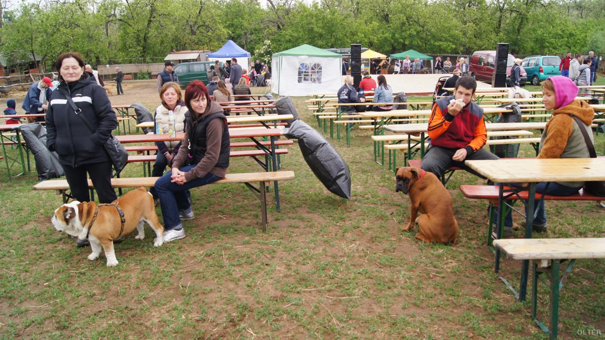 dsc08211_1200x674.jpg