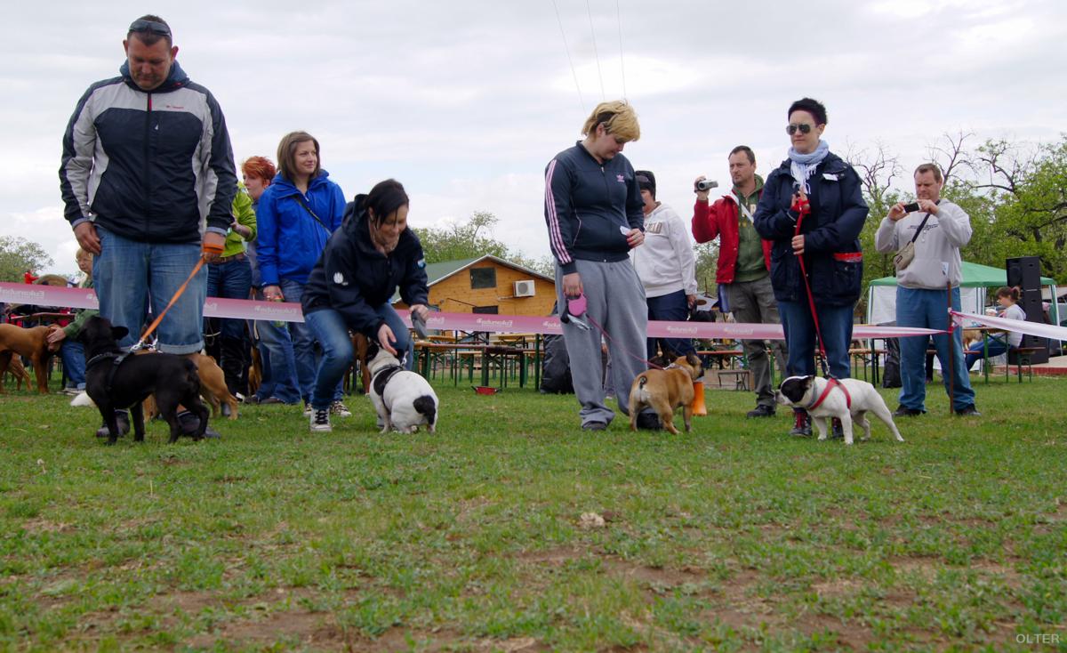 dsc08294_1200x734.jpg