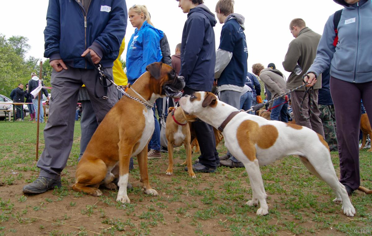dsc08295_1200x762.jpg