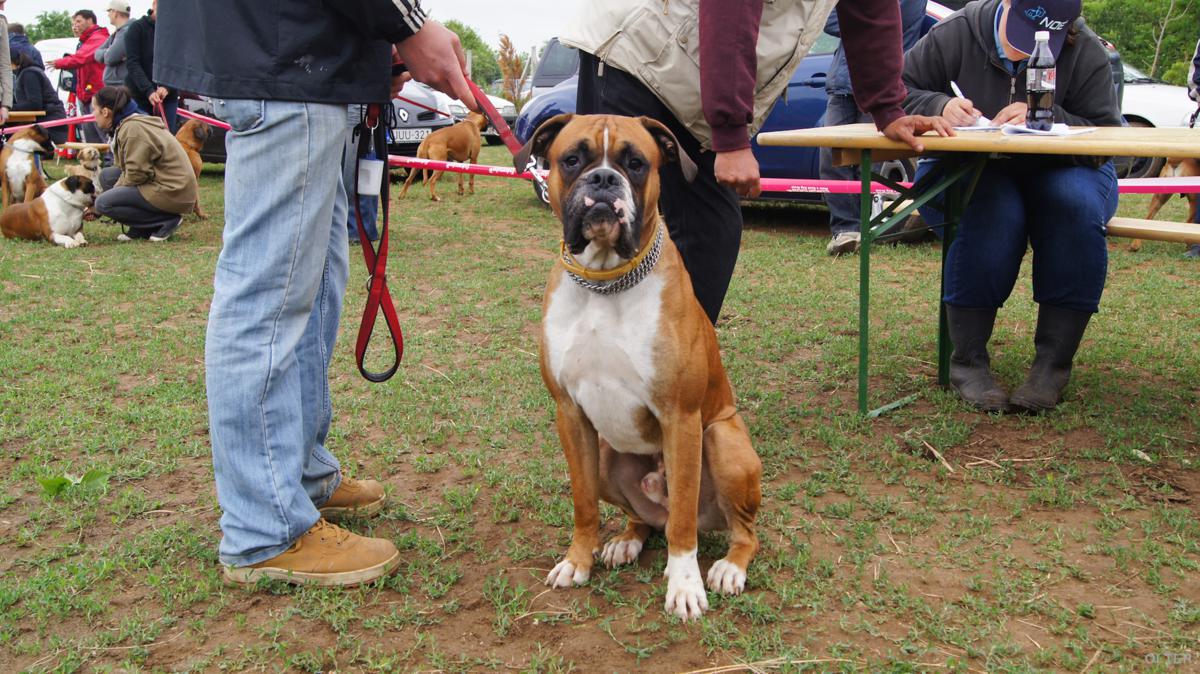 dsc08301_1200x674.jpg