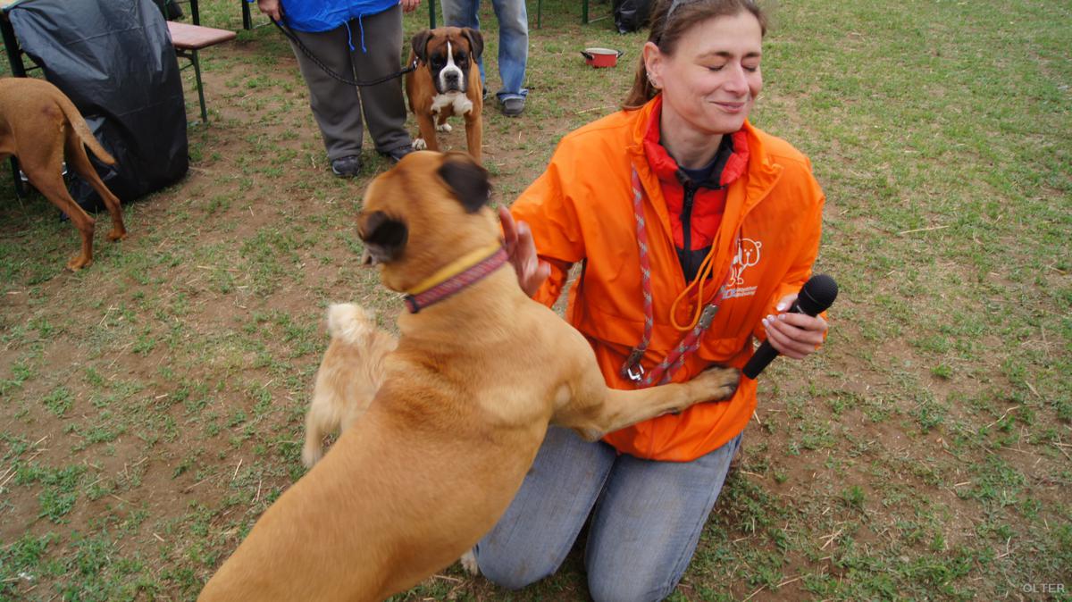 dsc08314_1200x674.jpg