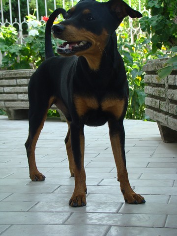 dsc08607_2.jpg