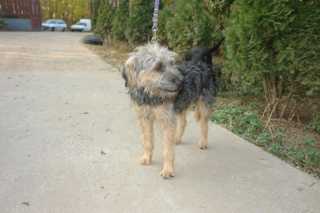dsc09734.jpg