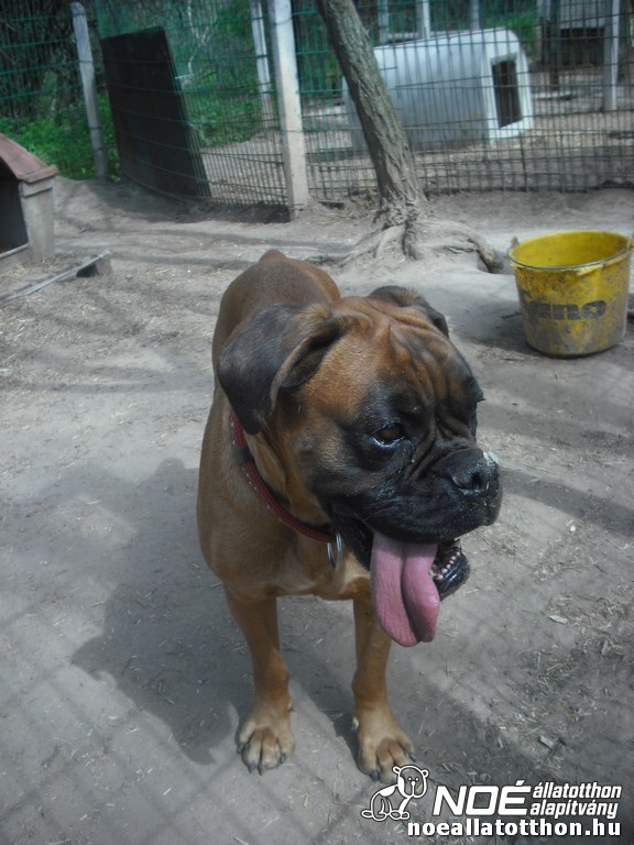dscf0156.jpg