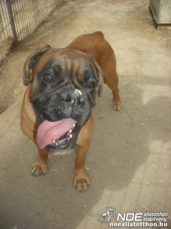 dscf0162.jpg