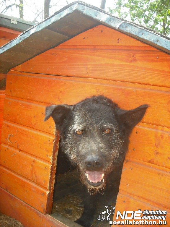 dscf0174.jpg