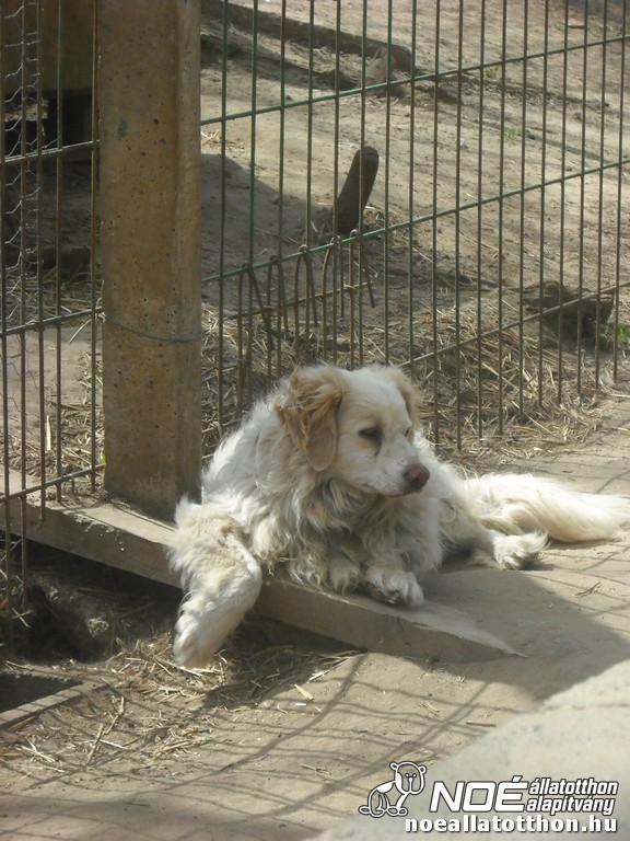 dscf0176.jpg