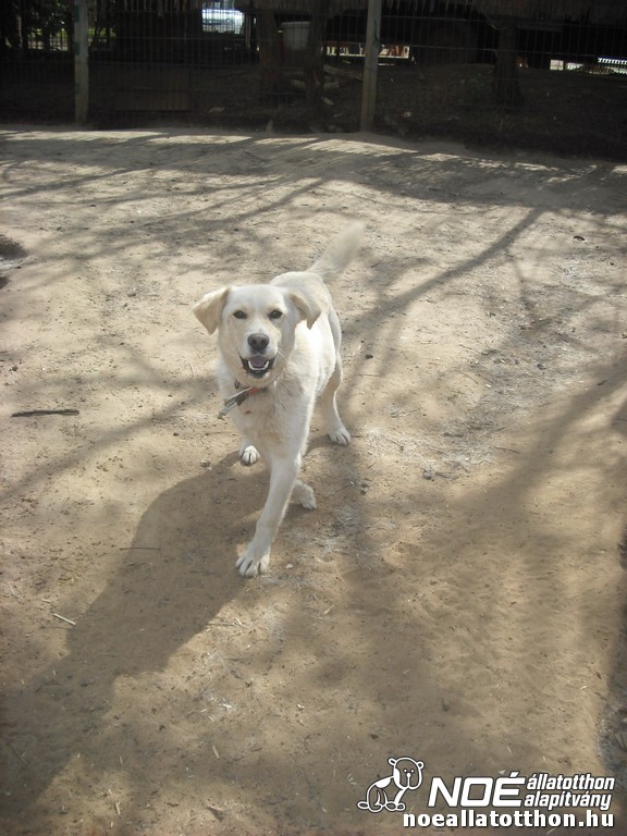 dscf0180.jpg