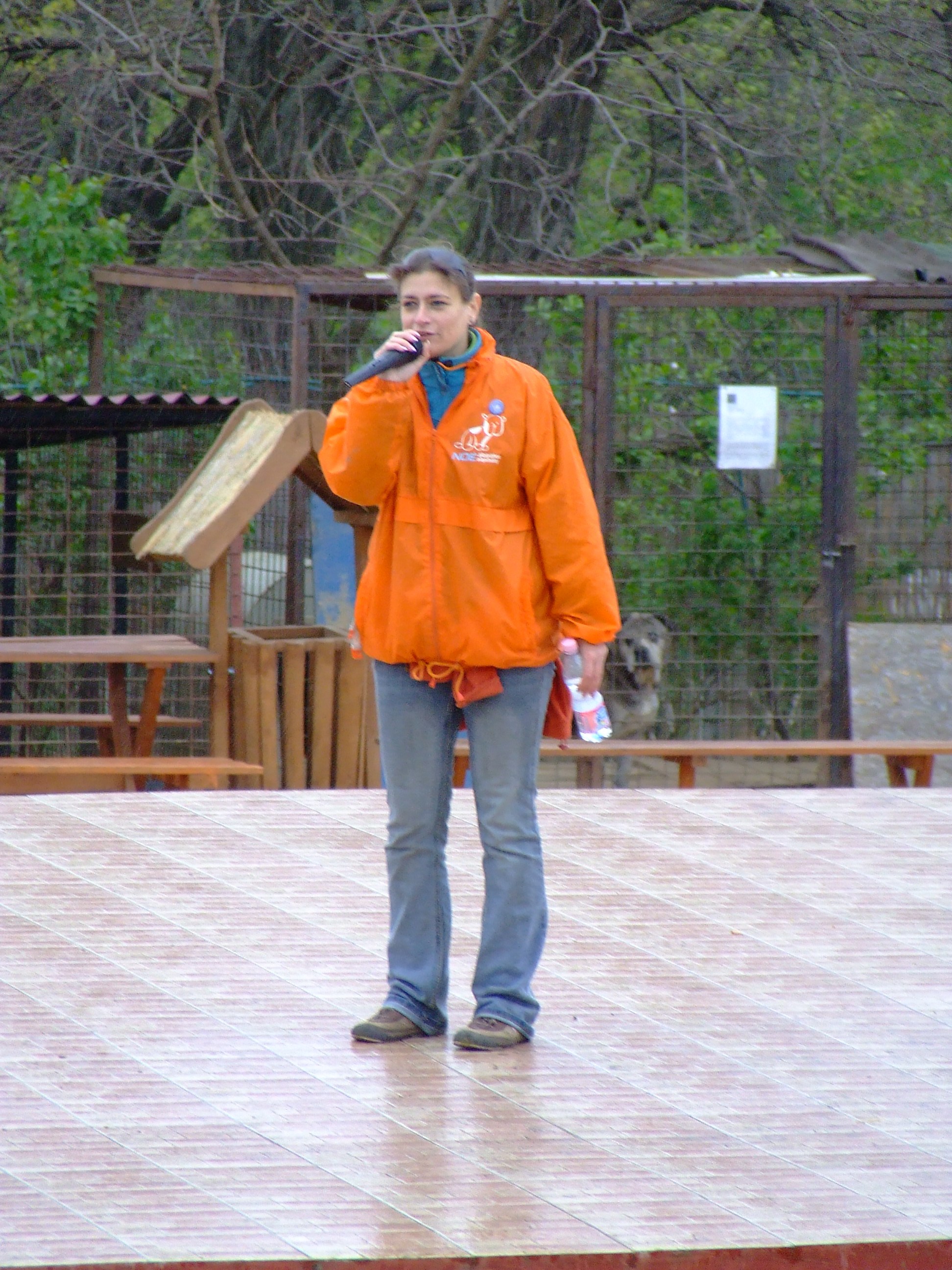 dscf0549.jpg