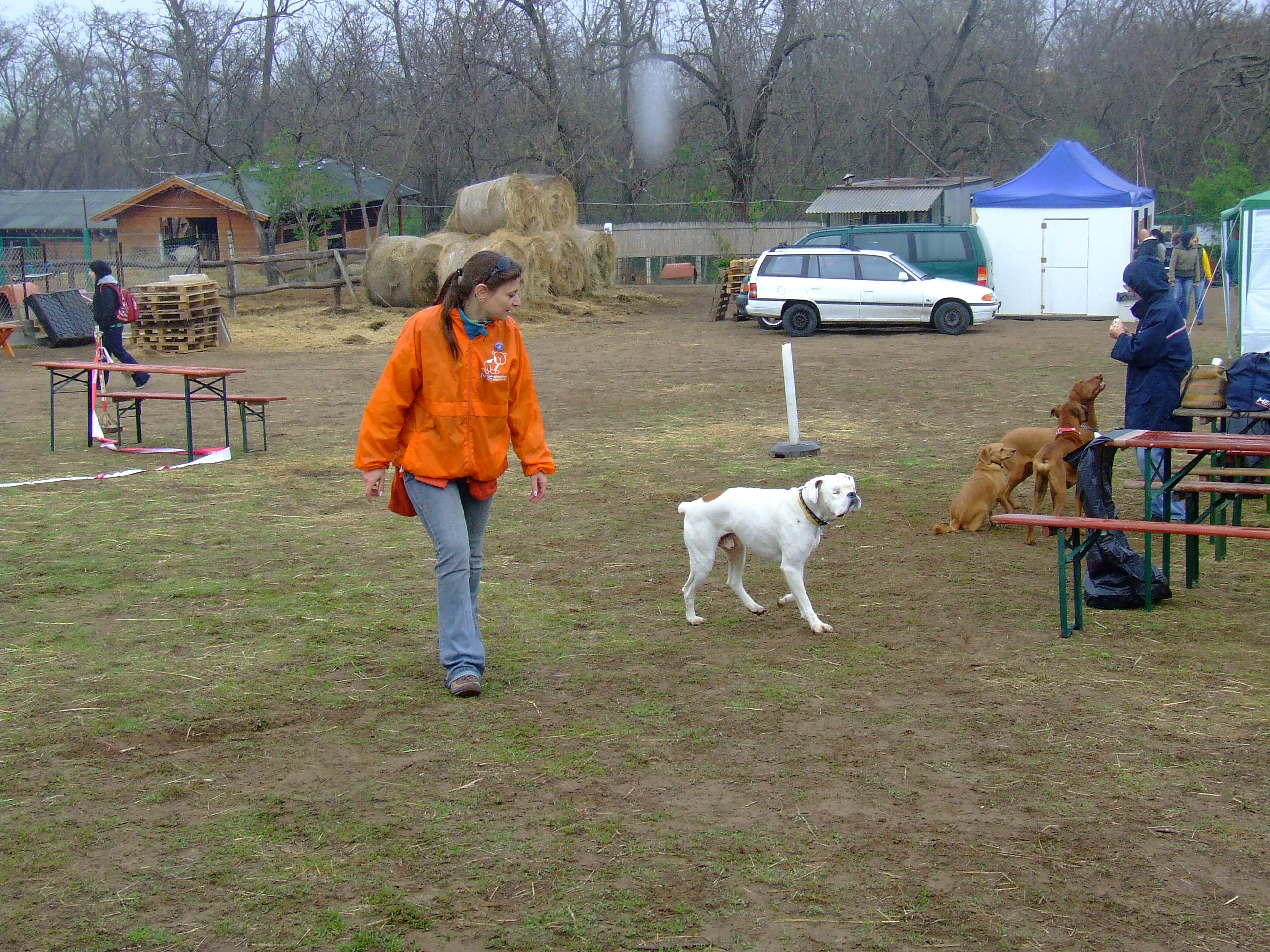 dscf0569.jpg