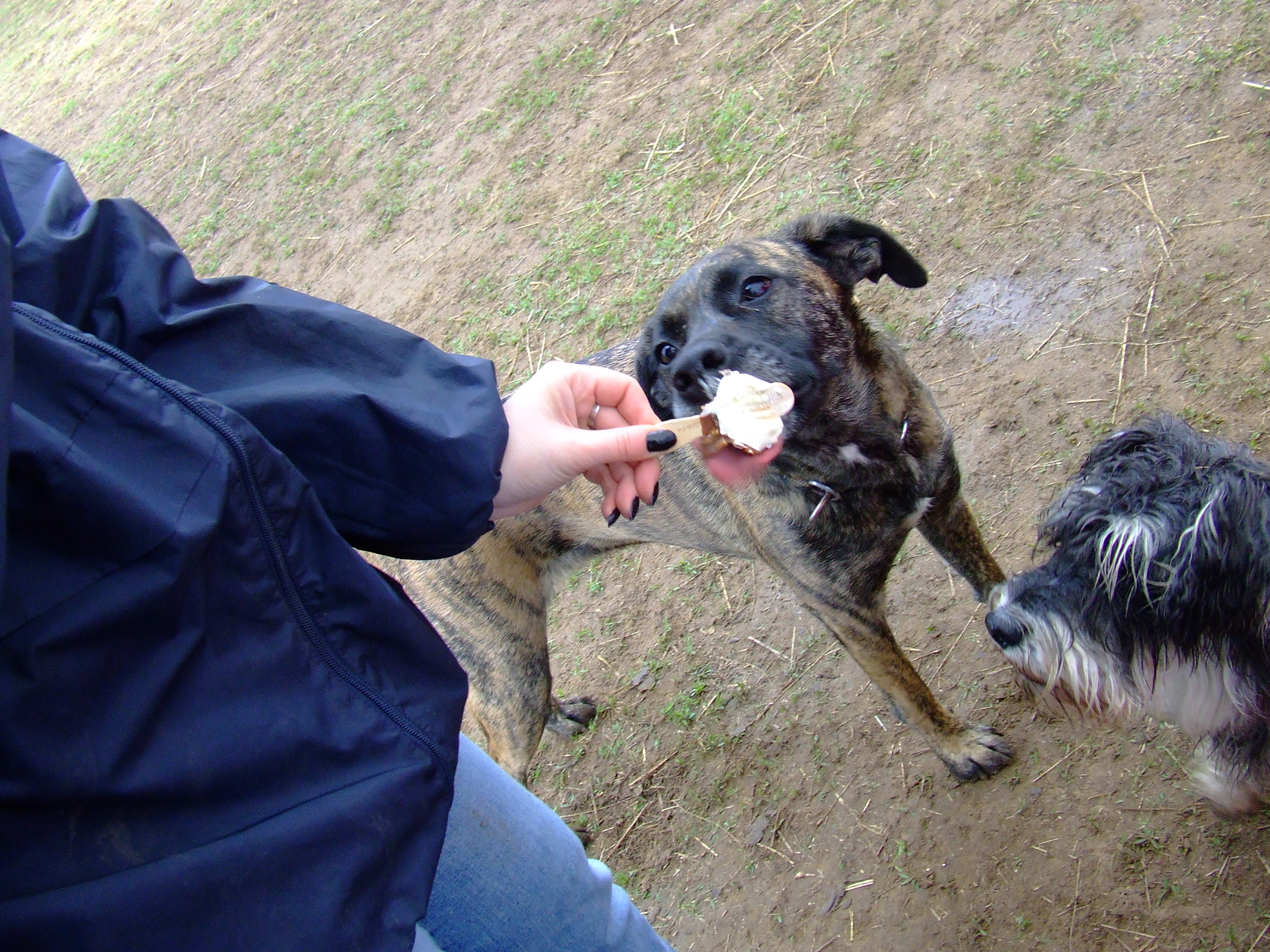 dscf0575.jpg