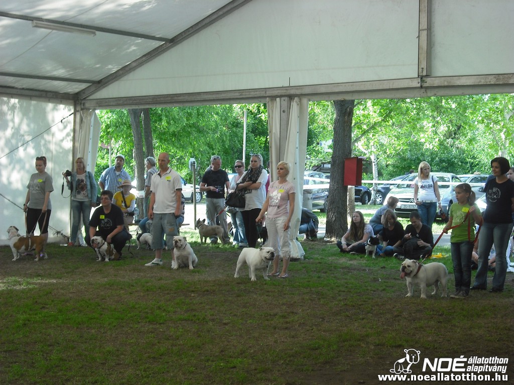 dscf1086_3.jpg