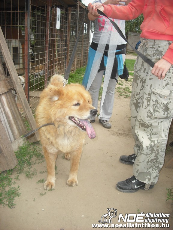 dscf1488_4.jpg