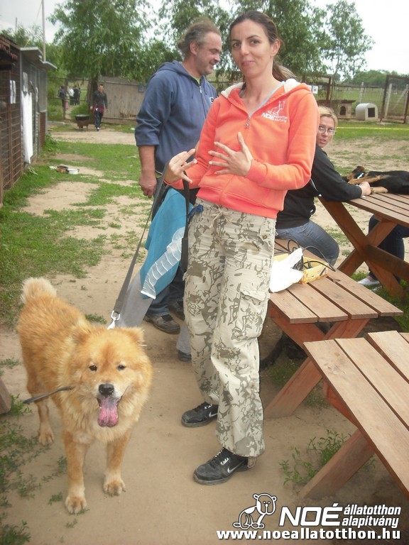 dscf1489_3.jpg