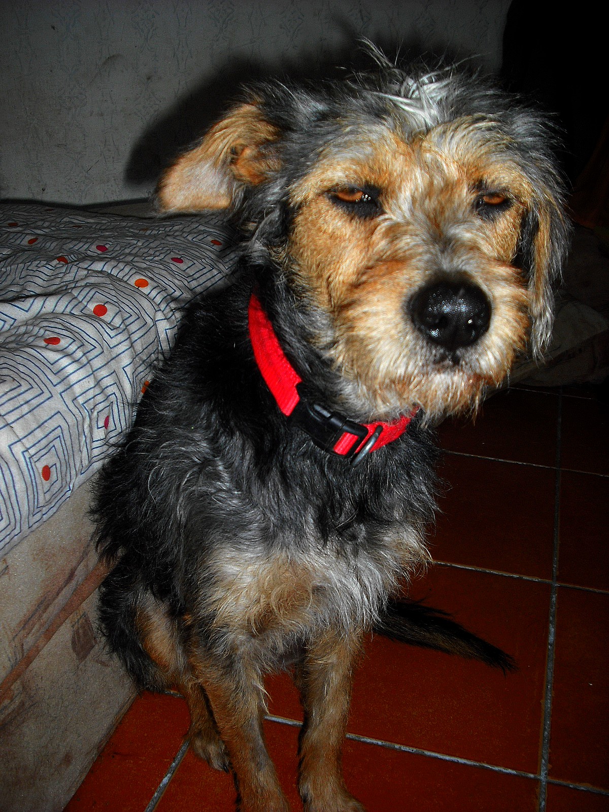 dscf2297.jpg