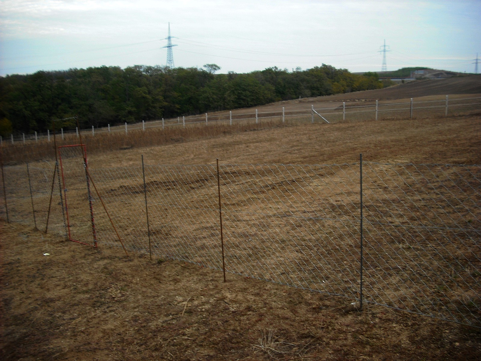 dscf2506.jpg