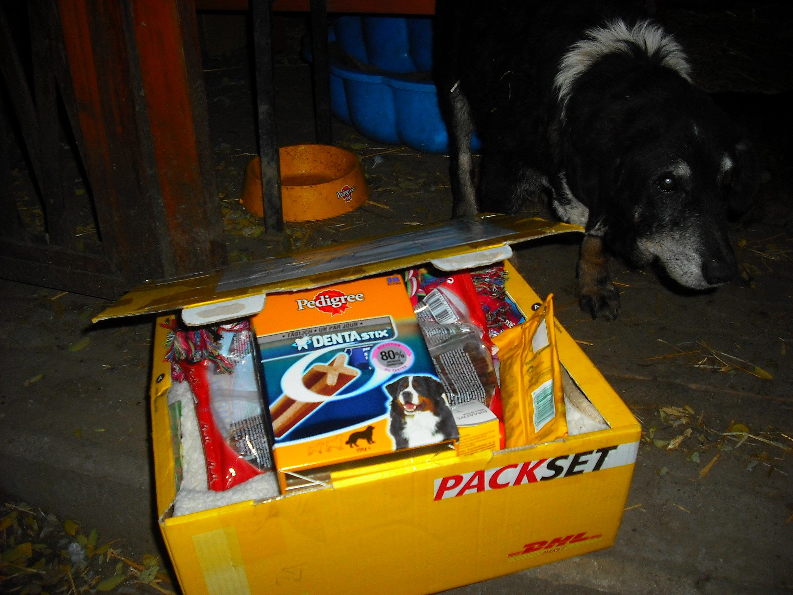 dscf2592.jpg