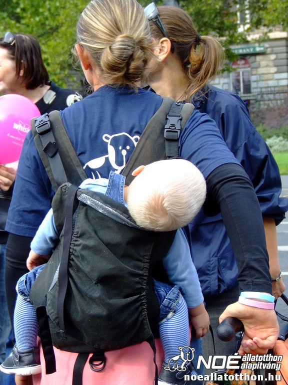 dscf2811_3.jpg