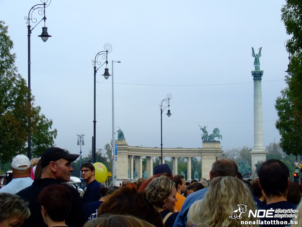 dscf2819_3.jpg