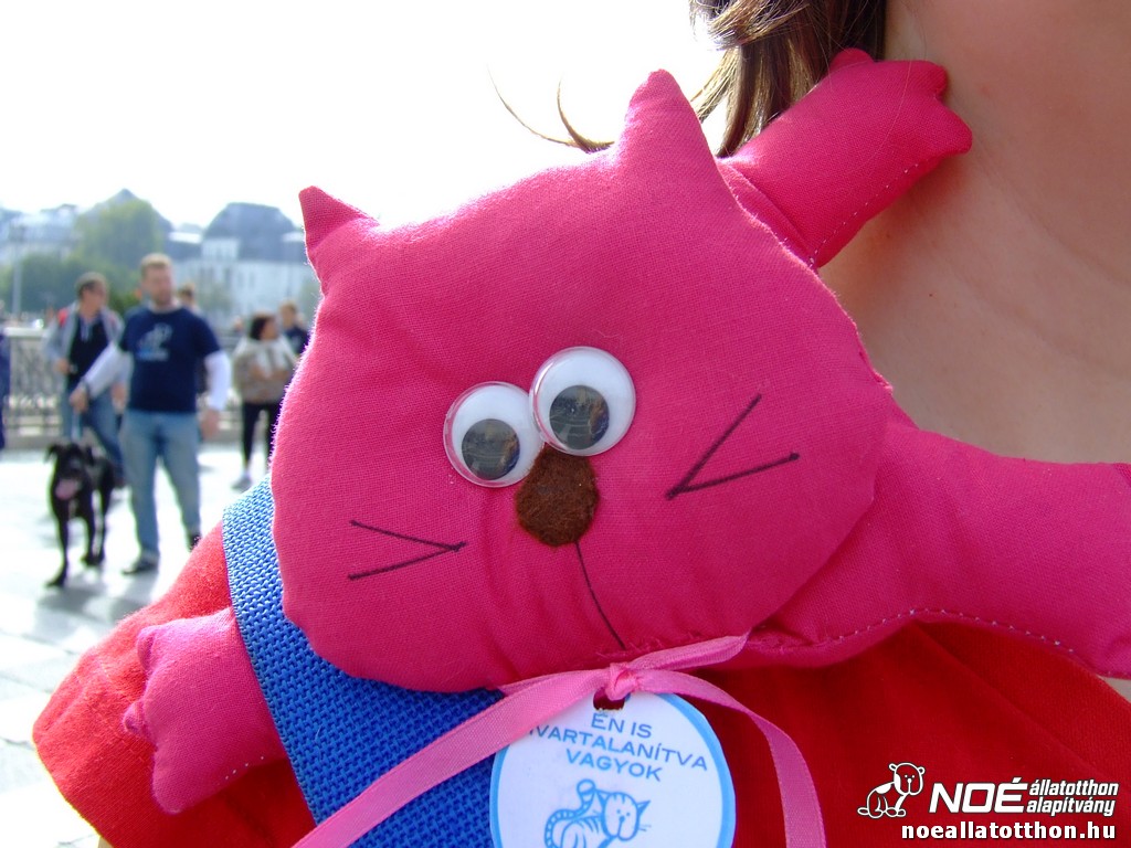 dscf2825_3.jpg