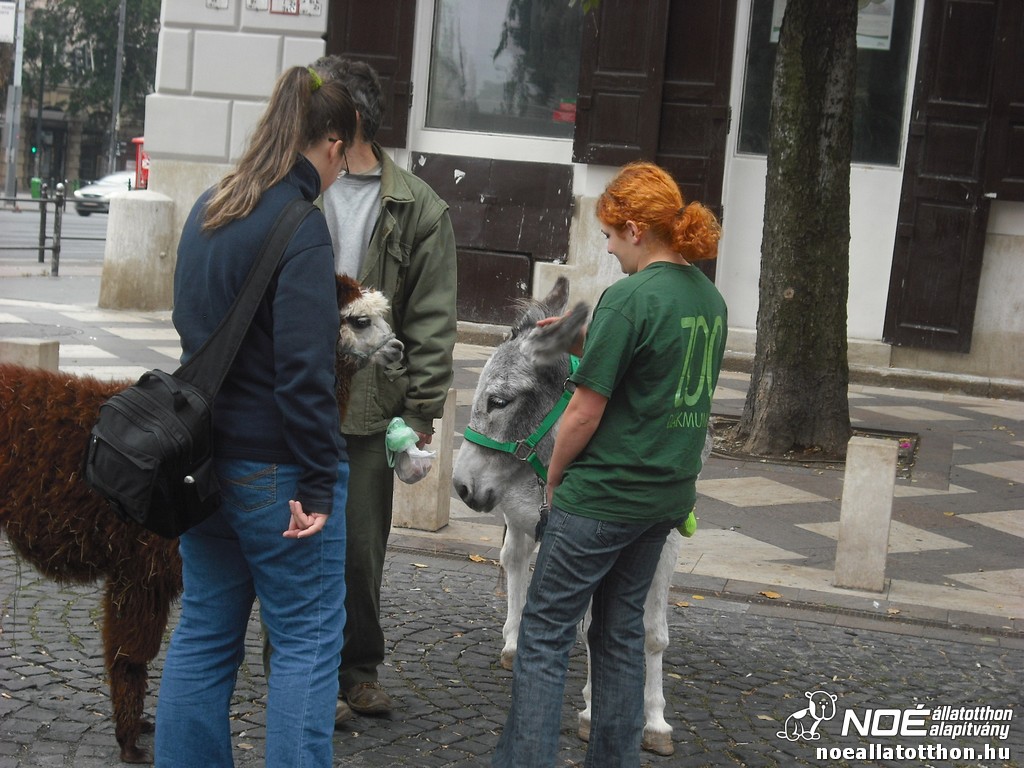dscf5115_2.jpg