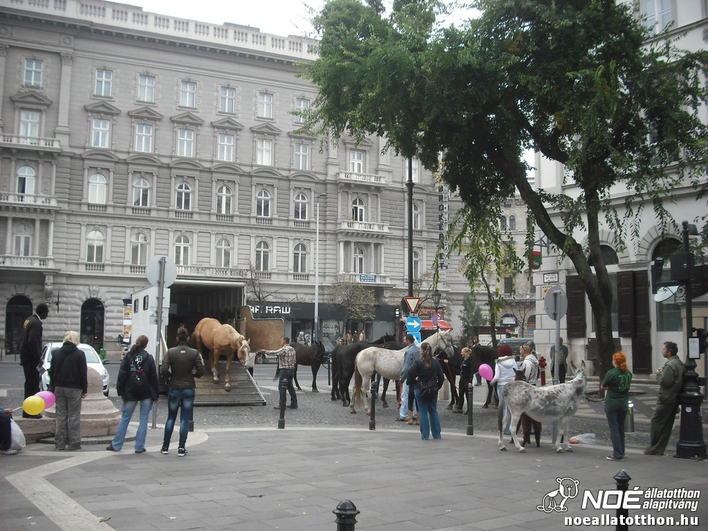 dscf5117_2.jpg