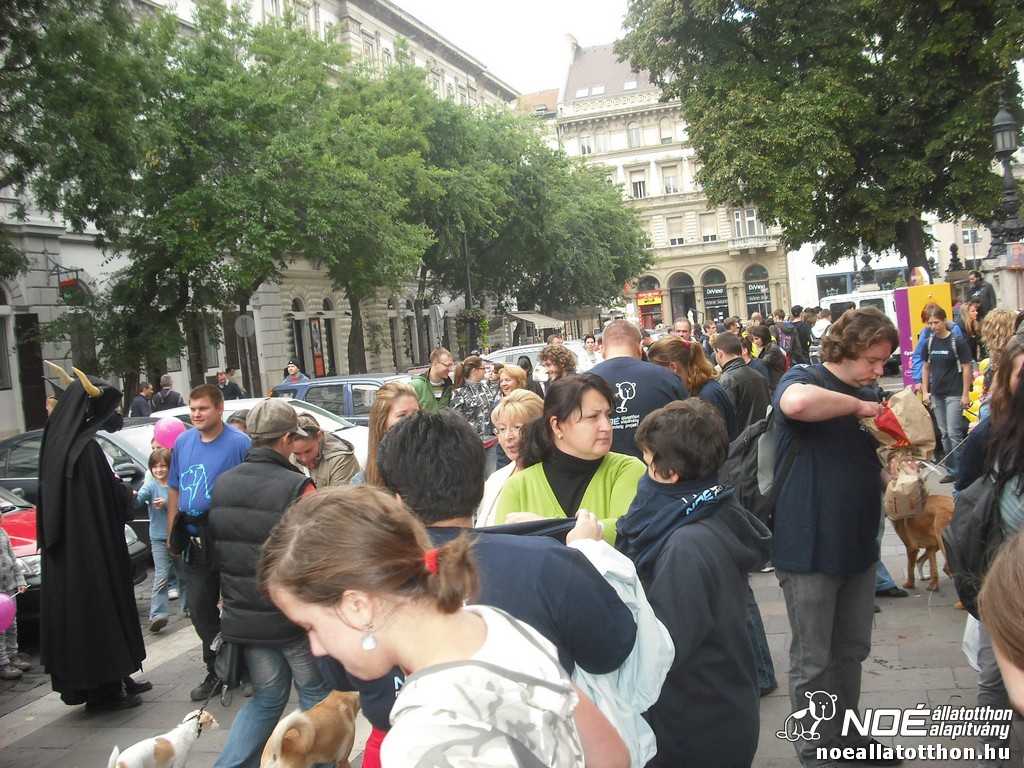 dscf5121_2.jpg