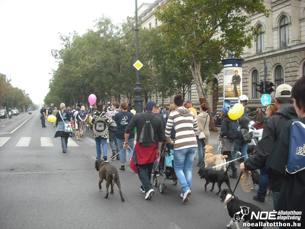 dscf5141.jpg