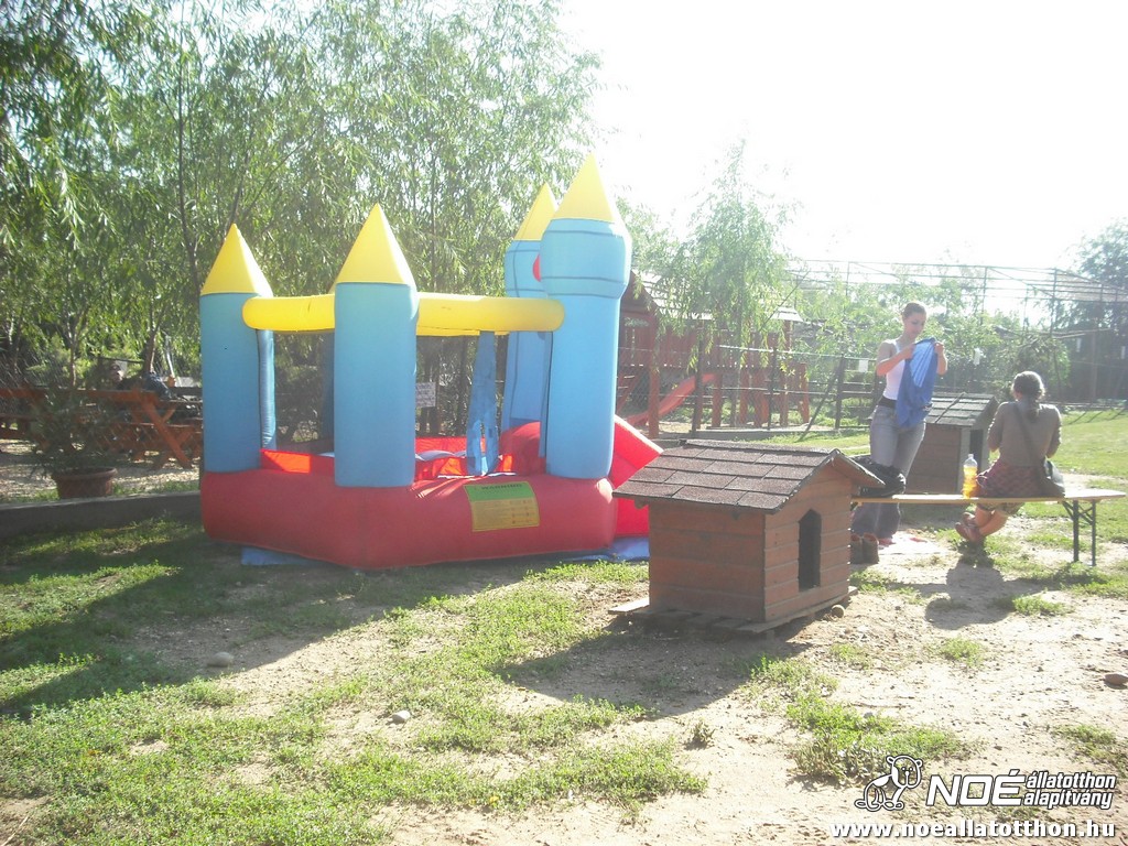 dscf6901_2.jpg