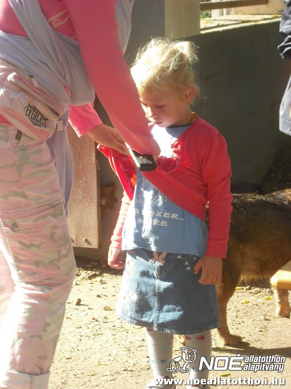 dscf6905_2.jpg