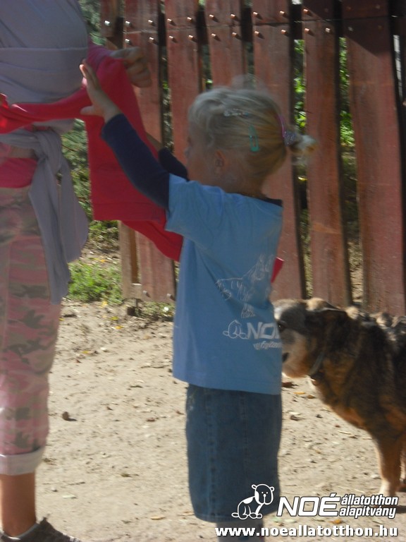 dscf6906_2.jpg