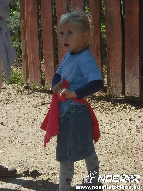 dscf6907_2.jpg