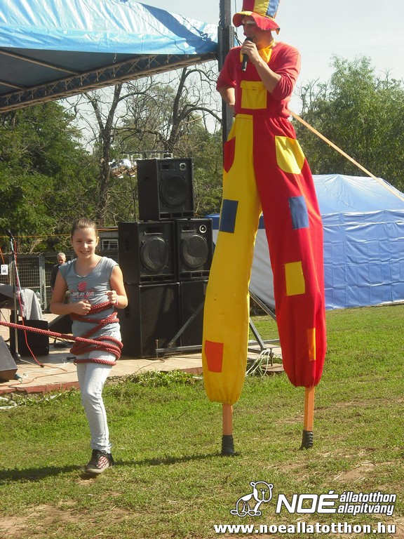 dscf6949_3.jpg