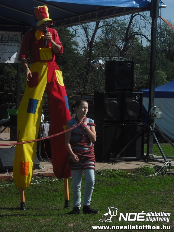 dscf6950_2.jpg