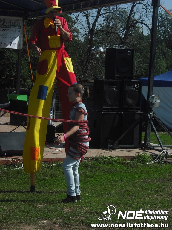 dscf6951_3.jpg