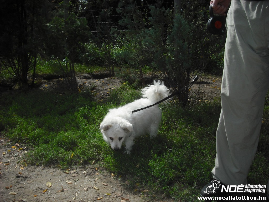 dscf6963.jpg
