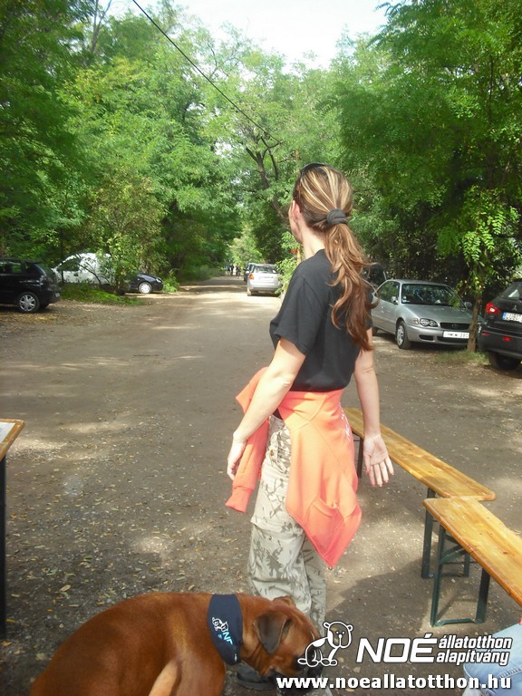 dscf6969.jpg