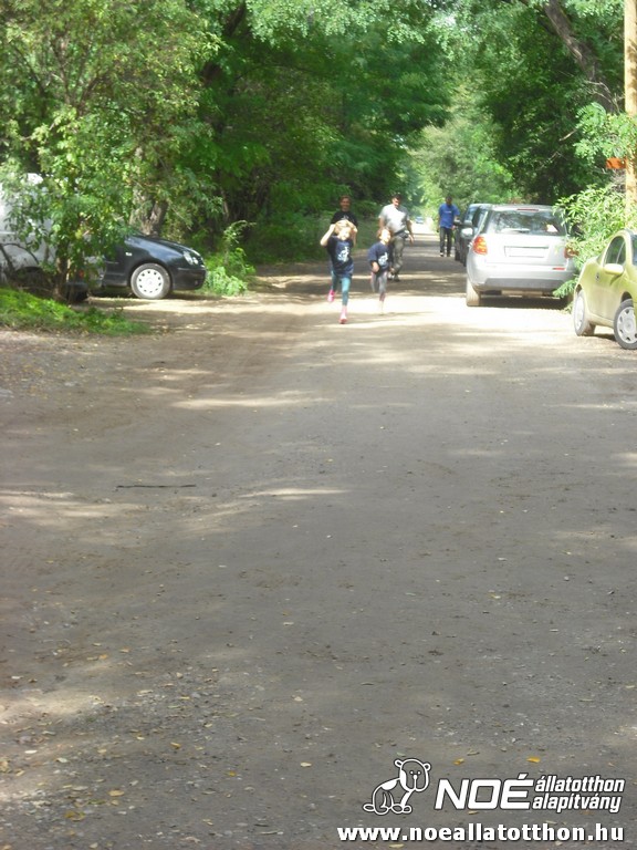 dscf6971.jpg