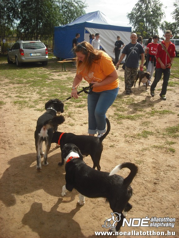 dscf6980.jpg